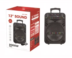 In Stock 12 Inch portable Speakers with Multifunction for Karaoke