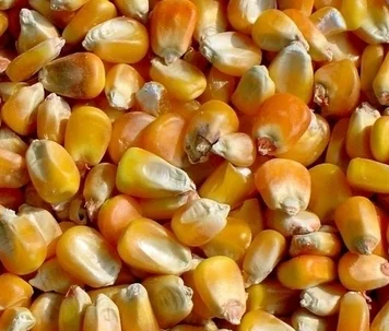 Горячая распродажа машина для шелушения