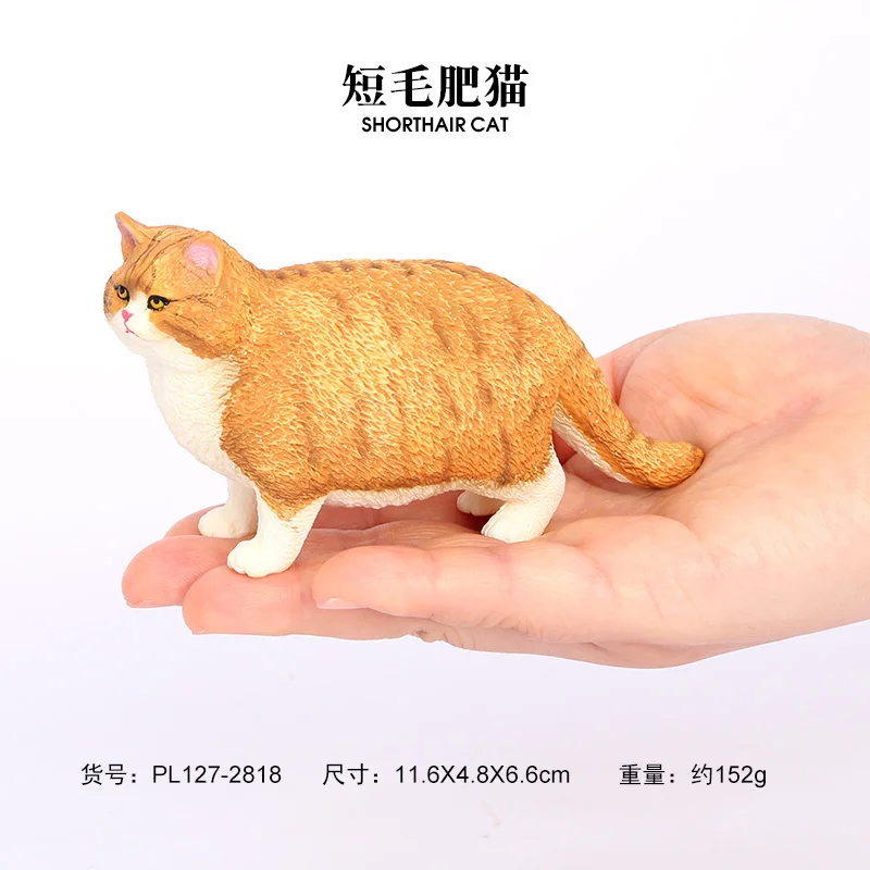 Wholesale Solid PVC Simulation Safari Figures Short Haired Fat Cat Animal Toy Figurines