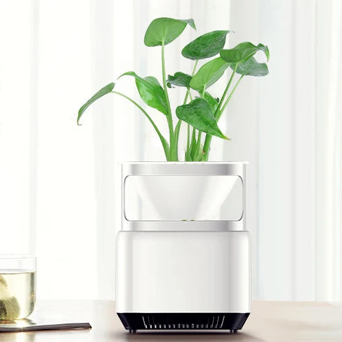 Activated Carbon Office Desktop DIY Green Plant Soil 254nm UVC Mini Air Purifier