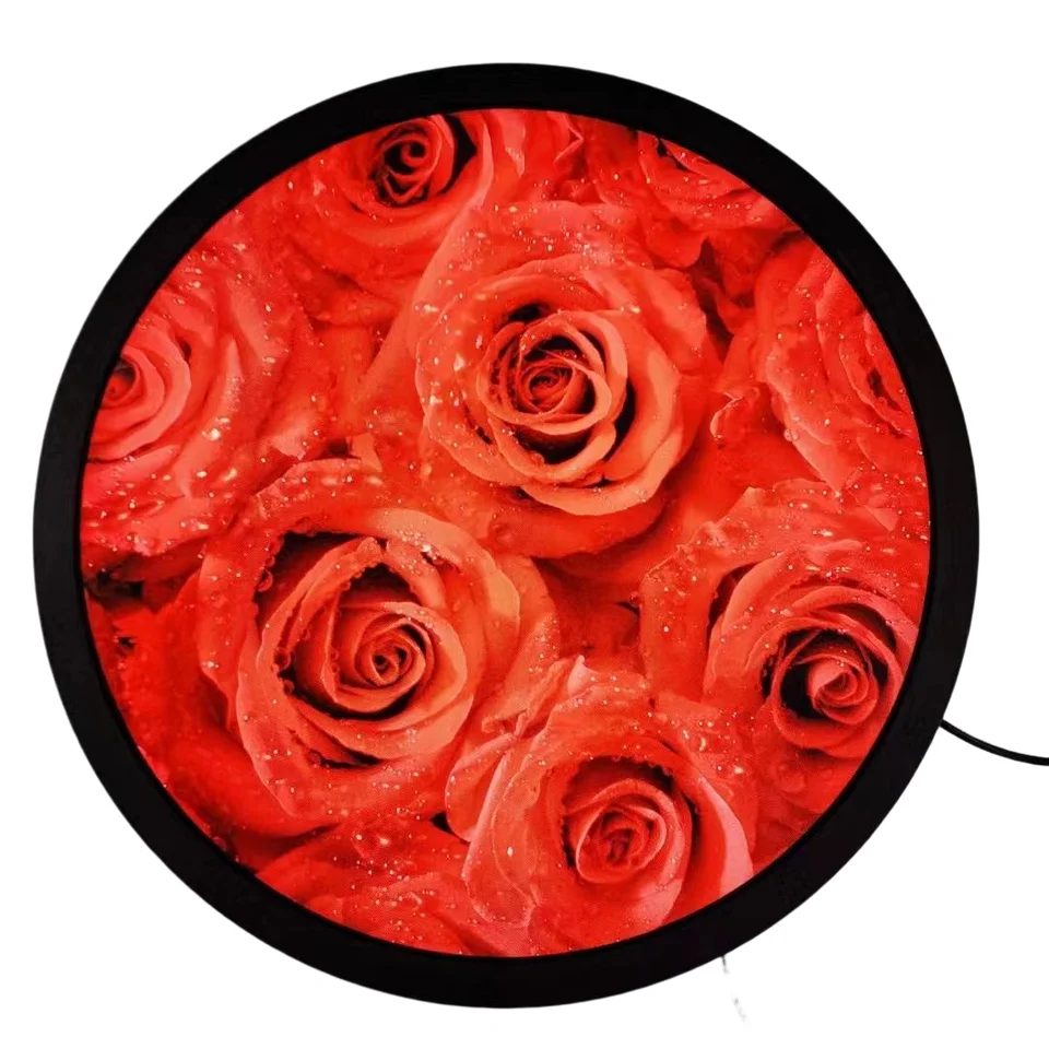 23.6 Inch Indoor Ips Circular Circle Monitor Customized Advertising Digital Signage Round Shape Lcd Screen Display