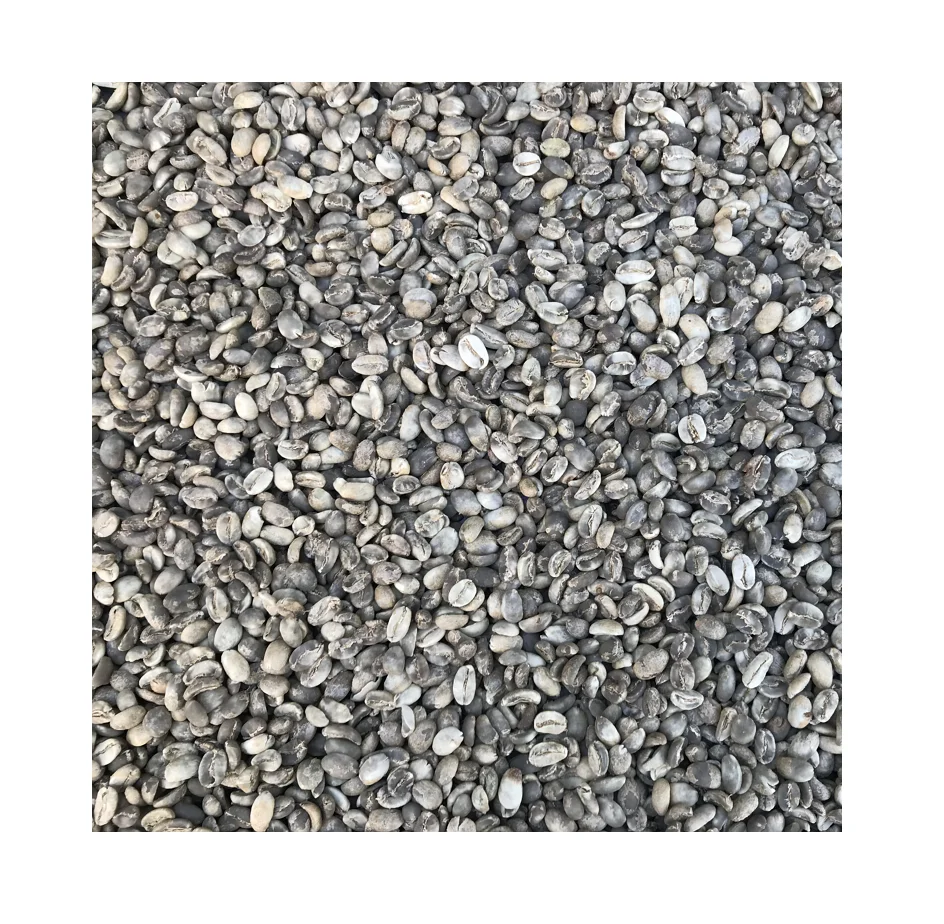 
VietNam High Quality Robusta Green Coffee Bean (Grade 1) For Sale 