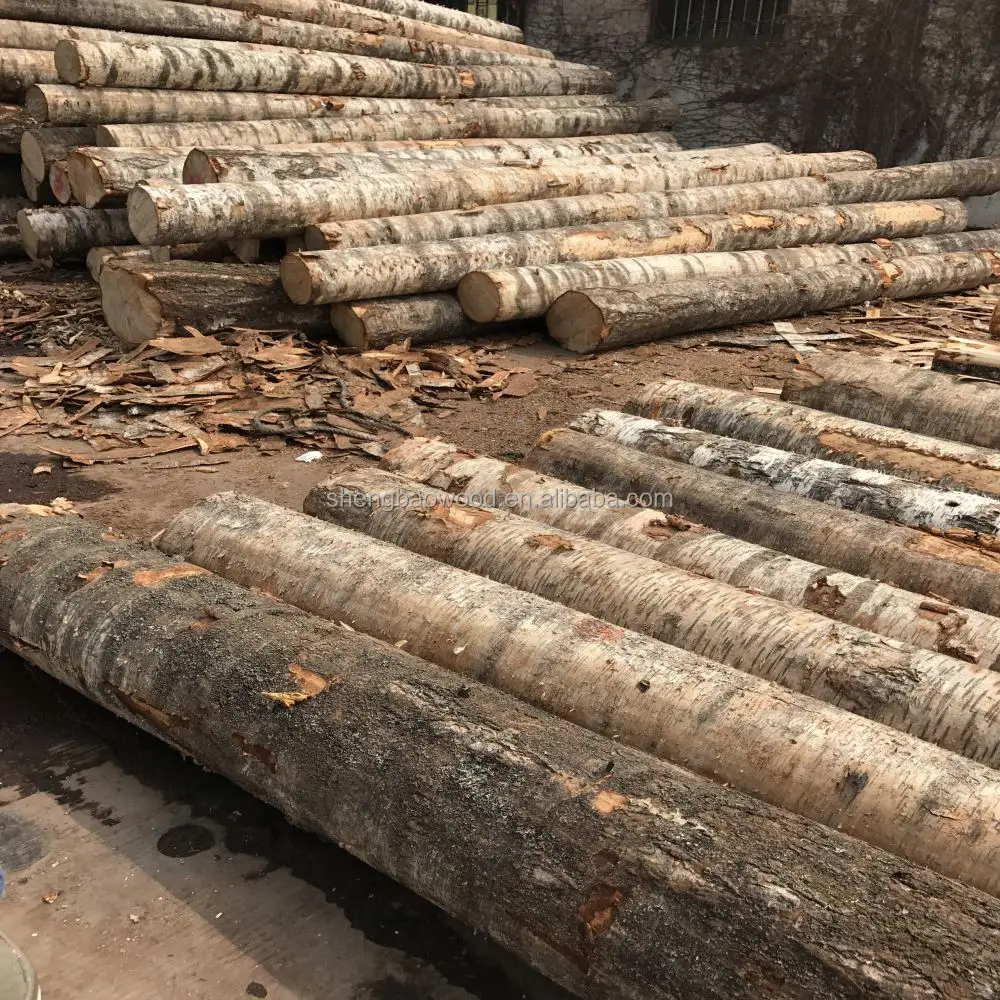 Russia White Birch face  veneer for birch plywood