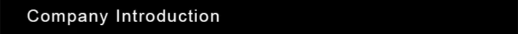 Company Introduction.jpg