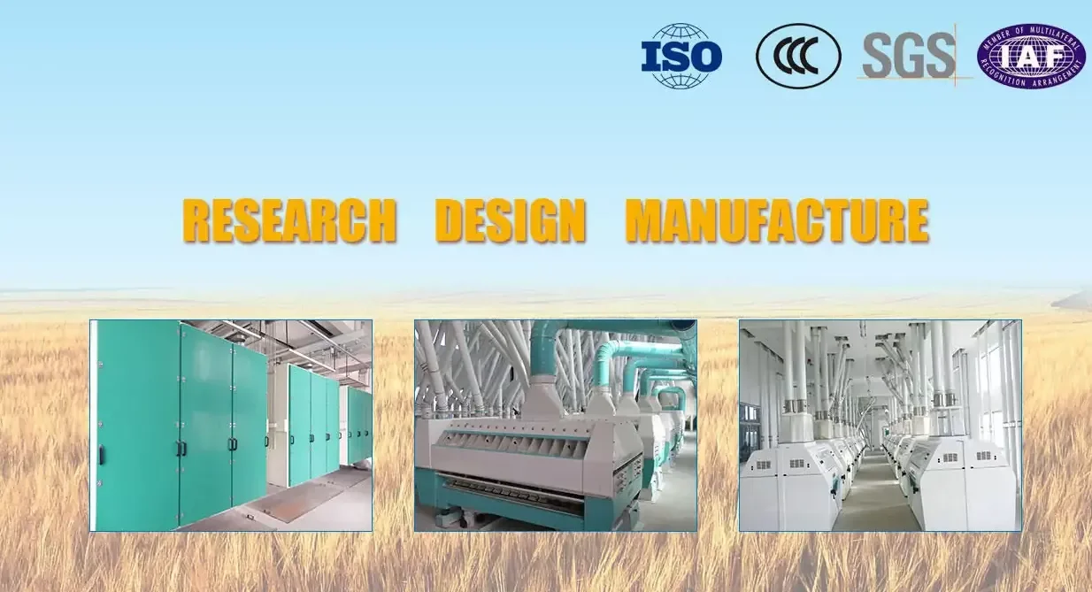 paste-pic-dp_uuid_vwjql