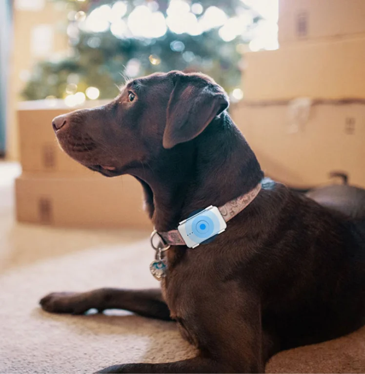 Personal IP65 Waterproof  White  mini  strong magnetic 4g pet smart gps tracker