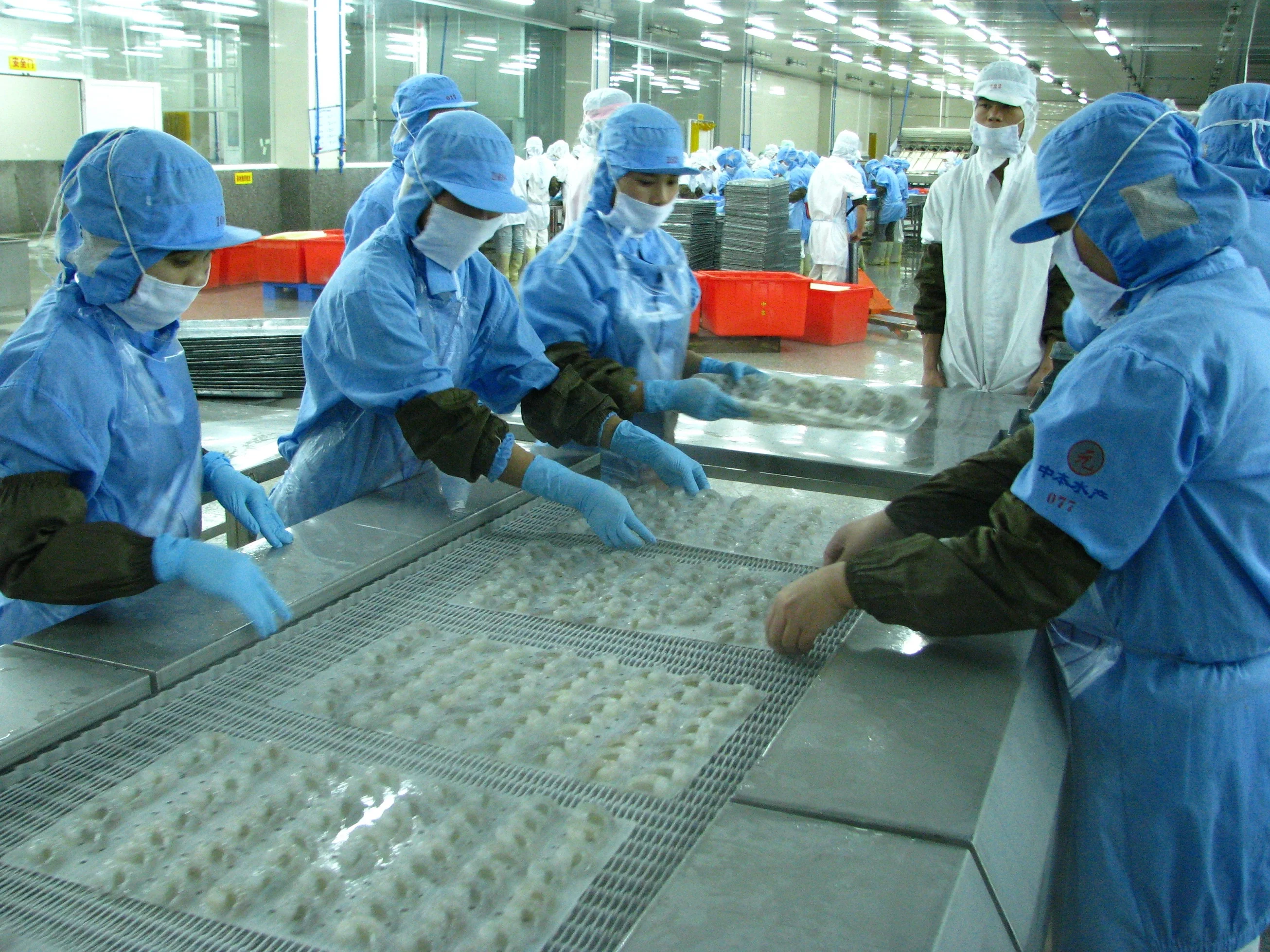 
IQF Spiral blast freezer 