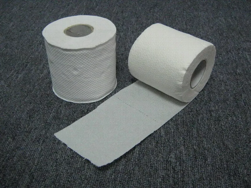 Wholesale Cheap Luxury Custom Brand Virgin Pulp Printed Hemp Bathroom 2/3 Ply Tissue Roll Toilet Paper