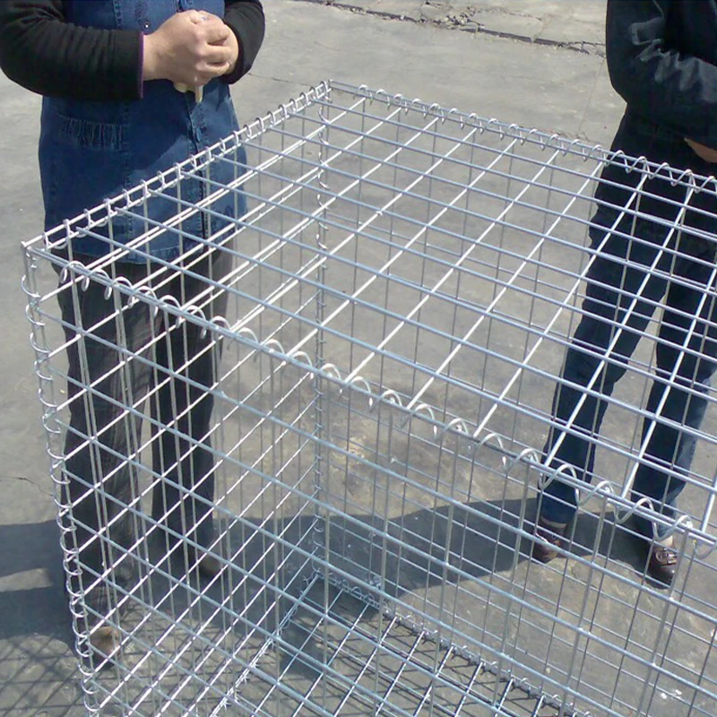 pvc coating galvanized galfan double twisted hexagonal wire mesh 2x1x1 gabion box cost