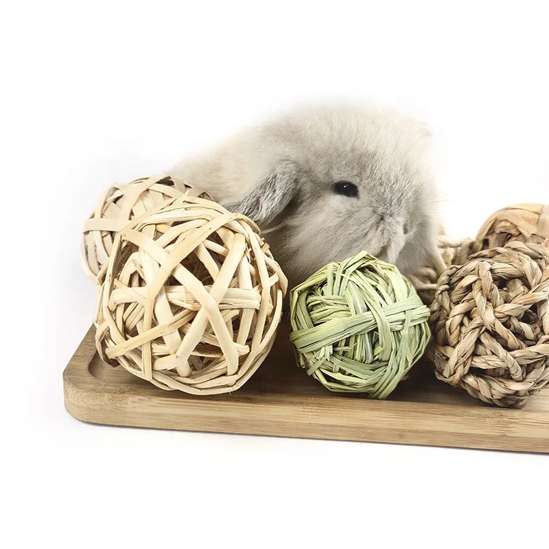 6 Pack Small Animal Activity Toys, Assorted Rabbit Balls, Chewable Teething Activity Toys for Bunny Rabbit Hamster Guinea Pig