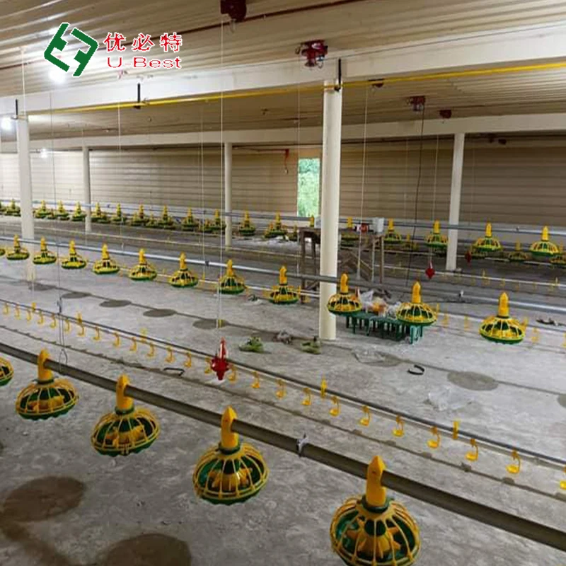 Hot Sale Best Quality  Chicken Poultry Farming Fan System /Broiler Feeders and Nipple Drinkers Equipment