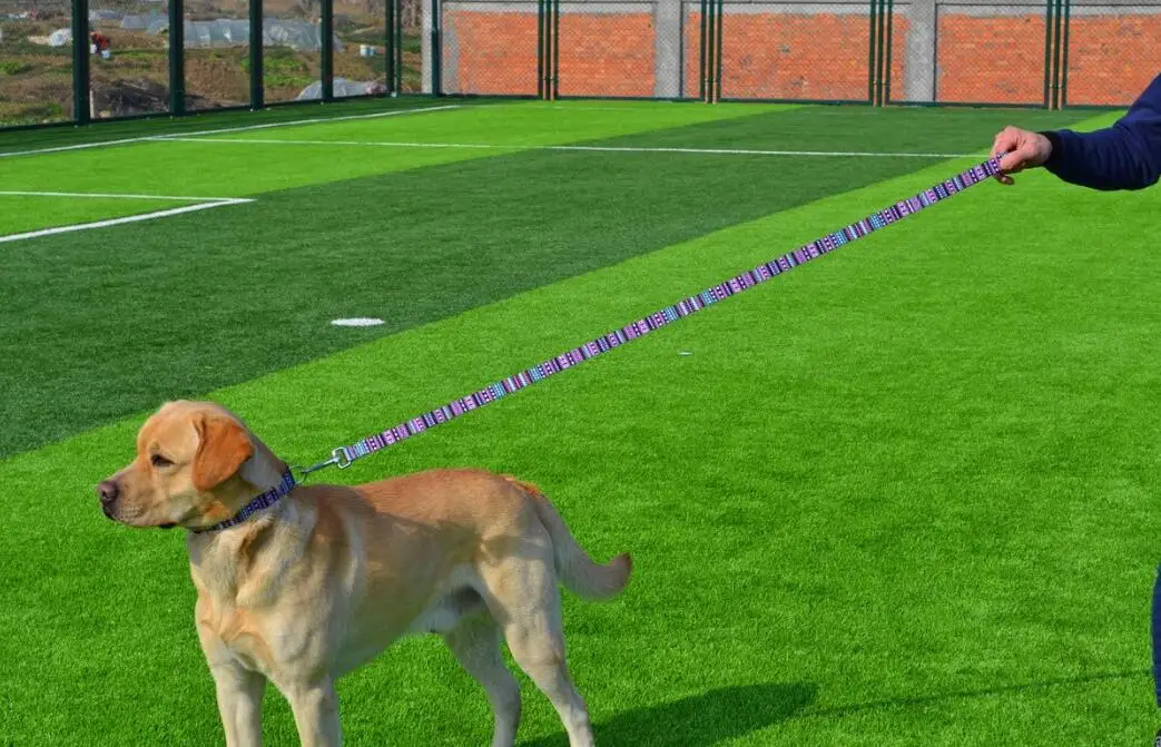 
New Product Nylon Dog Leash Printing Floral Pattern Colorful Puppy Small Medium Large Dogs 