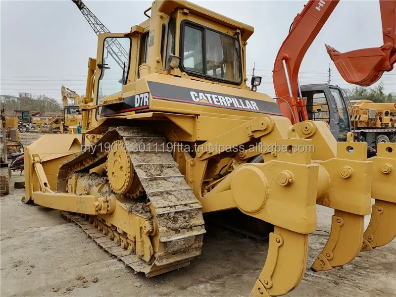 cat d7r (5).jpg