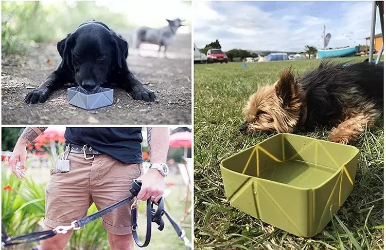 Space saving outdoor travel hang able dogs cats foldable bowl folding feeding food bowl pet portable bowl