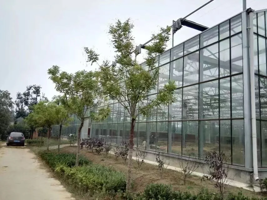 U Lock X Structure R Structure Honeycomb Polycarbonate sheet Alveolare Polycarbonate Hollow Sheet with Ultraviolet proof