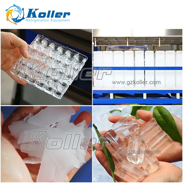 For Fishery Preservation Plate Ice maker (3000 Kg per day)