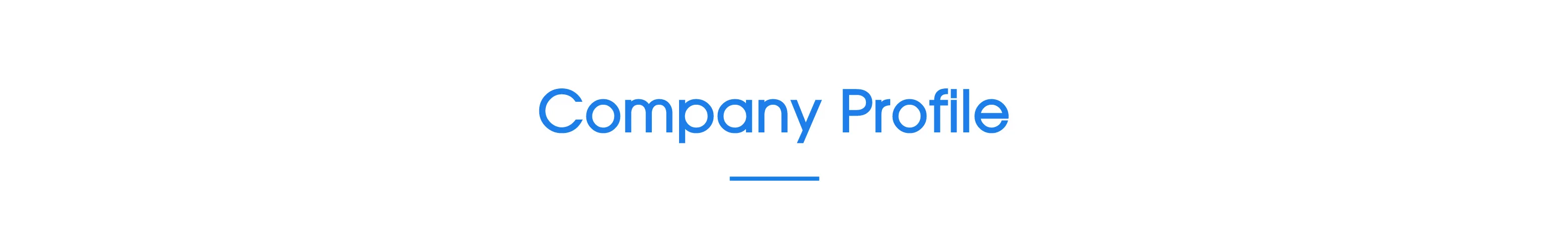  Company profile_ 1