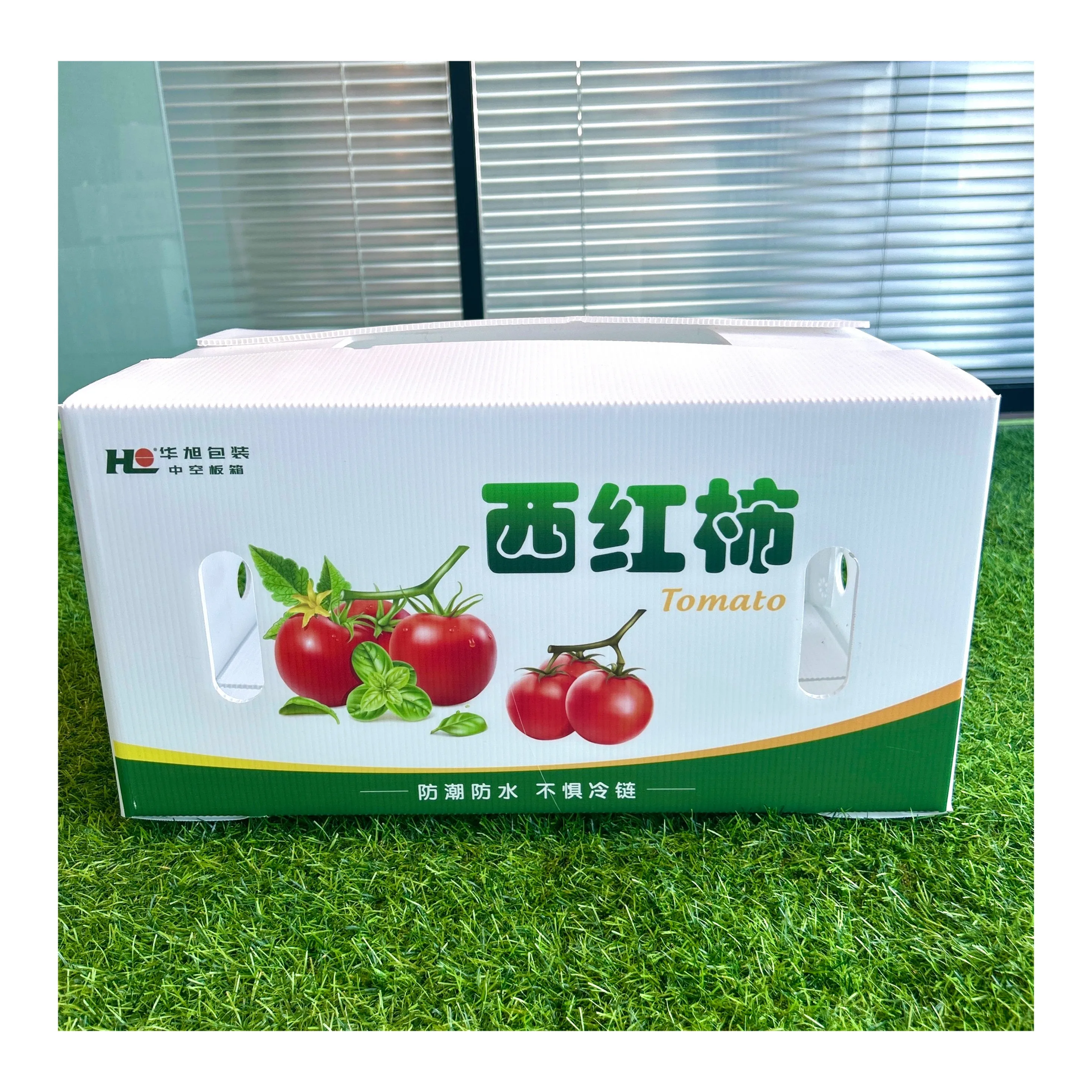 Fresh vegetables PP packing corrugated plastic box tomato  packaging box for storage