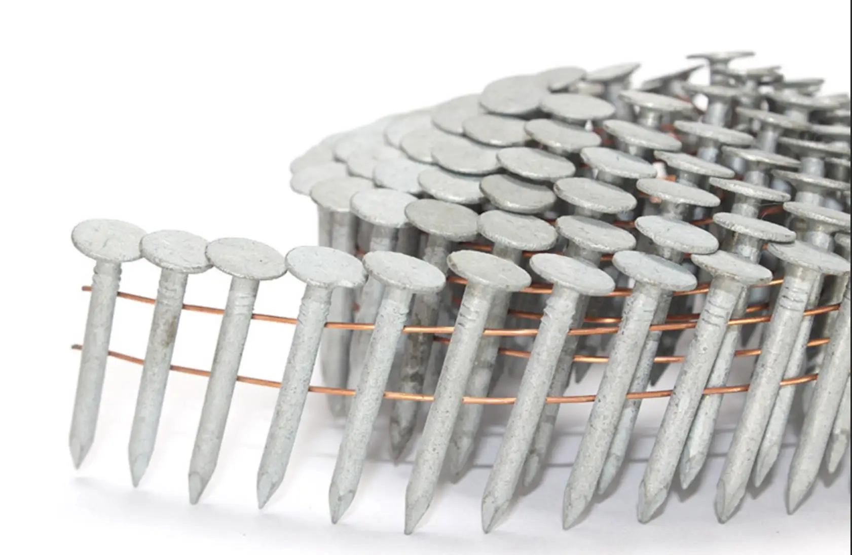 coil roofing nails high quality factory supply electro-galvanized plastic top umbrella roofing nails hot sale hot dipped
