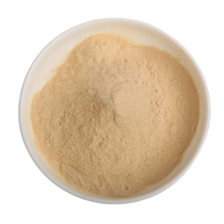 Professional Manufacturer Low Salt Additive Scallop Flavor Seasoning Powder For Food Seasoning