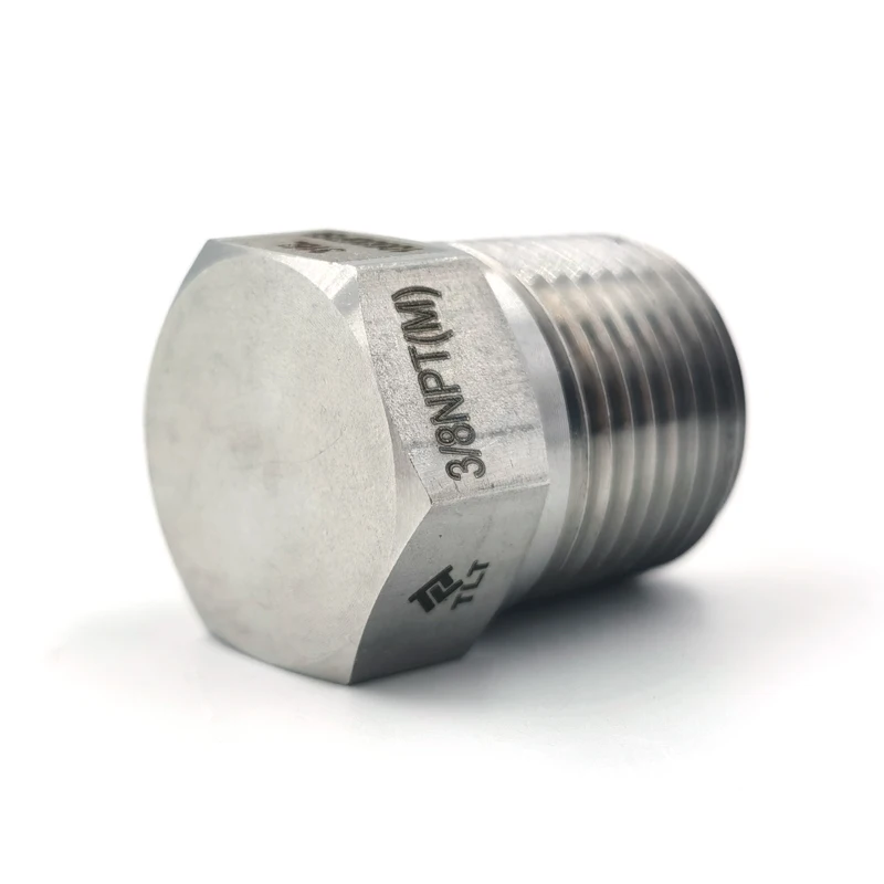 High Quality Stainless Steel 1/2 inch Testing  Pipe Fitting Plug