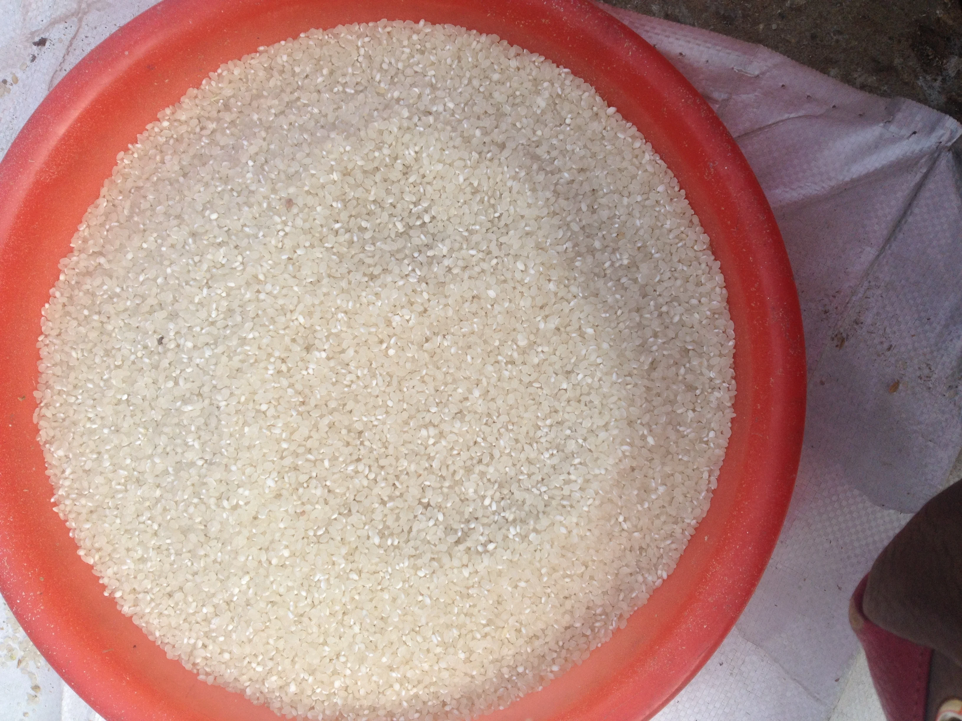 Hot Sell Small Mini Rice Milling Machine Complete Set Combined Rice Mill Equipment