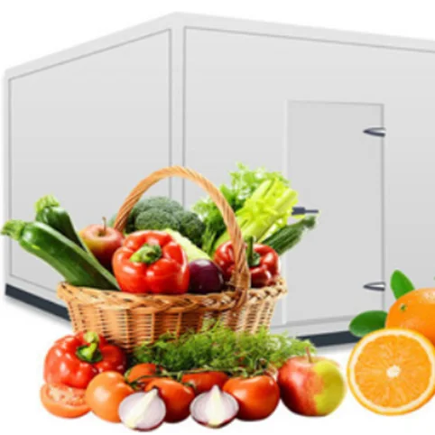 2023 hot selling walk in freezer storage cold storage refrigeration room chiller room