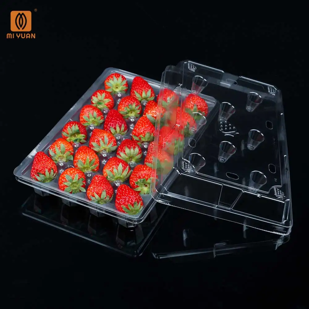 Premium Transparent Food Grade PET Plastic Disposable Packaging Box Container Chocolate Strawberry Fruit Tray with Lid