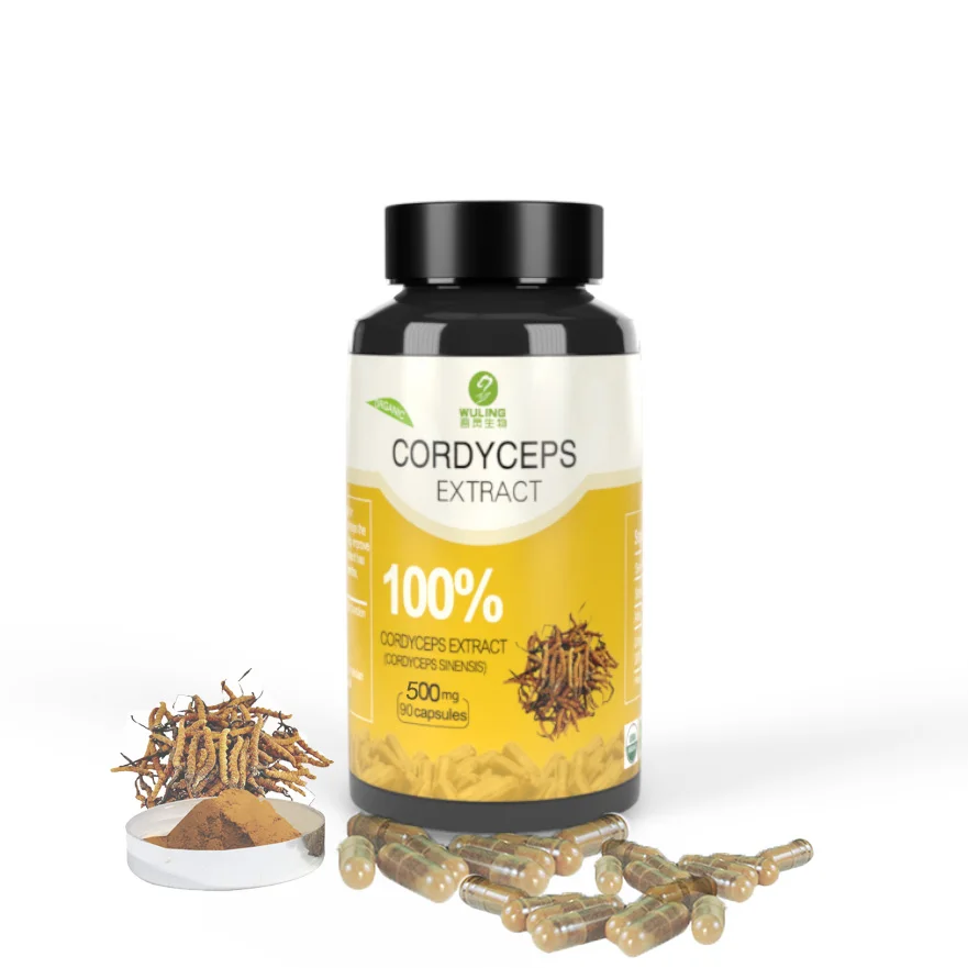 OEM/ODM Immune Support Organic Cordyceps Sinensis Mushroom Extract Capsules Herbal Supplements Food Garde