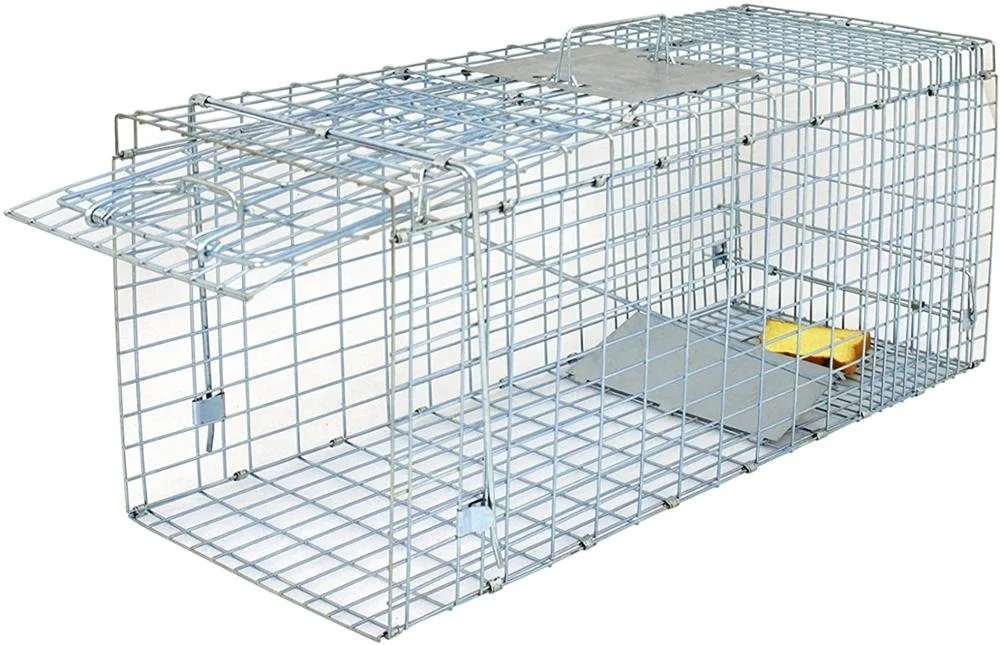 Catch and Release Humane Rodent Cage Medium Live Animal Trap Cage Squirrel Stray Cat Catcher