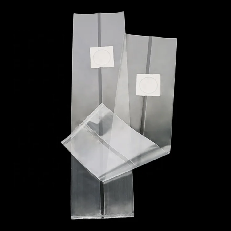 New style plastic bag  for King oyster mushroom Fungus spawn cultivate