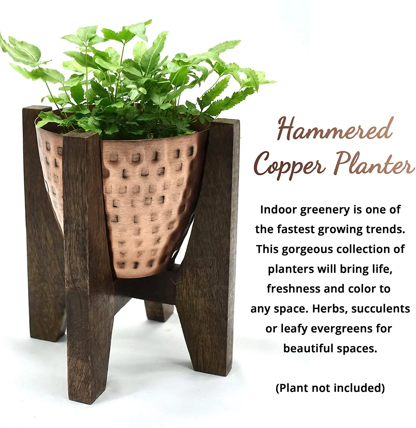 
Adjustable Modern Design Decorative Wood Small Standing Pots Plants Indoor Suitable For Succulents 
