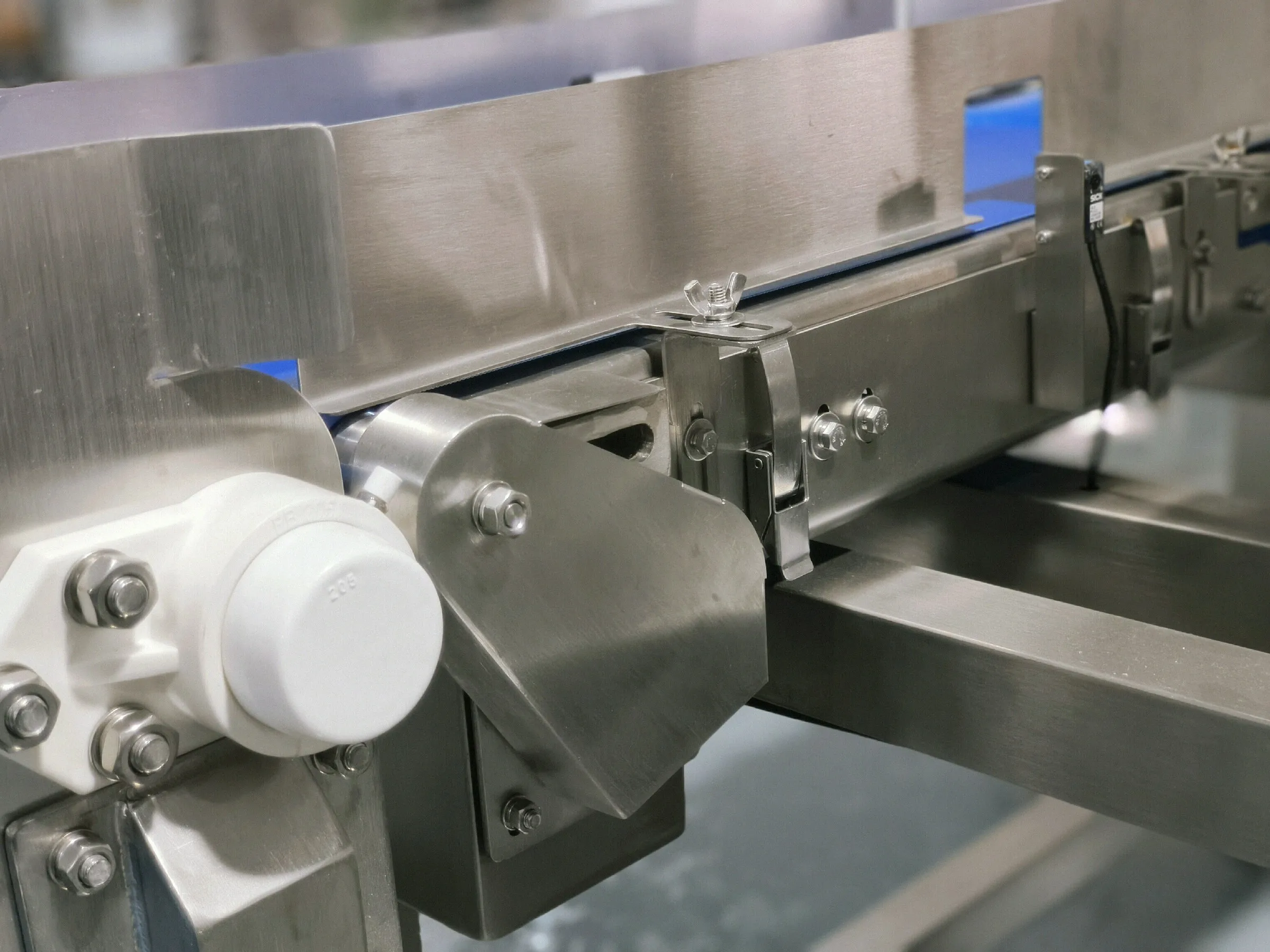 Best sale snail shrimp egg sorting line automatic machine conveyor belt sorting machine