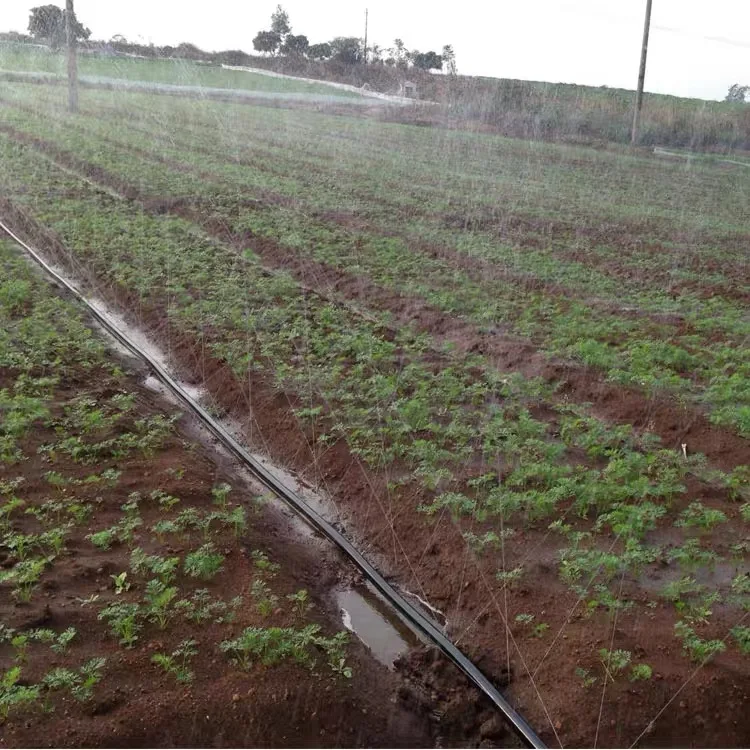 Cheap price Rain tape spray watering system micro spray tape rain hose