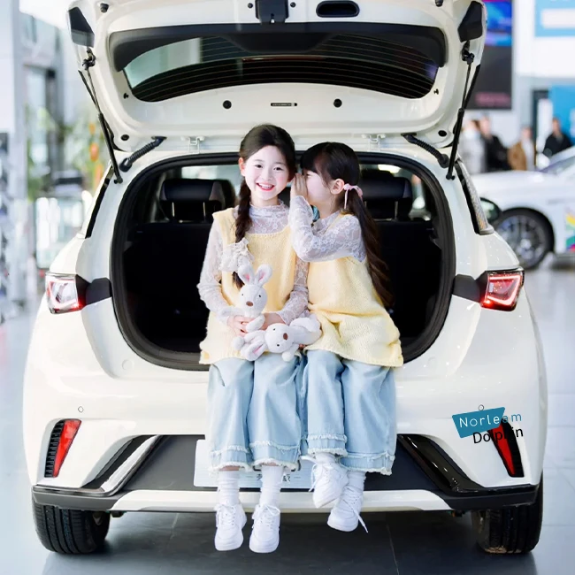 carros elctricos BYD Dolphin  4-door 2023 Freedom Edition 5-Seat Automatic with 420km Range New Energy Vehicle Deposit Required