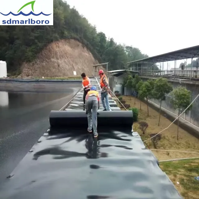 1.5mm 2mm hdpe prix geomembrane fish pond liner cost price