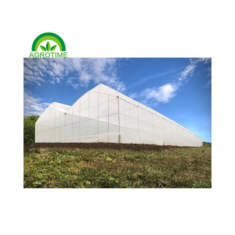 Low cost tropical greenhouse with top vent US strawberry green house multi-span poly tunnel greenhouses large area