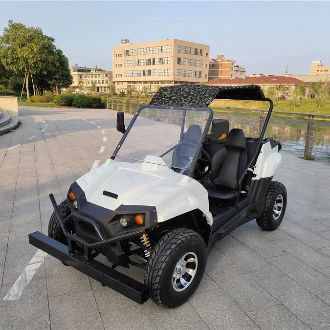 Цена 750 Вт бесщеточный двигатель дешевый электрический багги 1100cc Eec4 Euro4 250cc Eec 2016