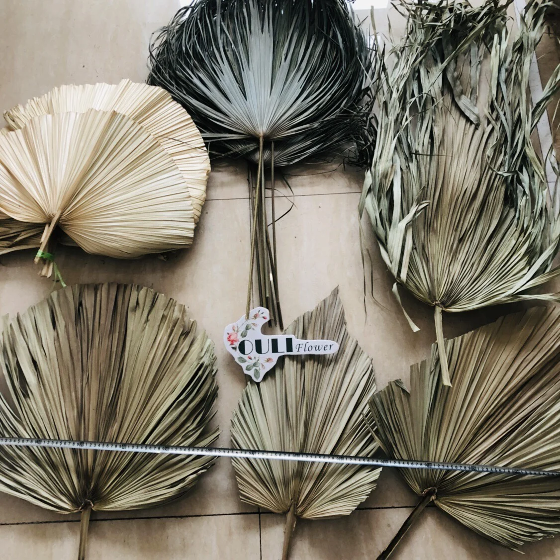 YAYUN W-3020 Wholesale Party Home Decoration Dried Palm Tree Leaves Spear