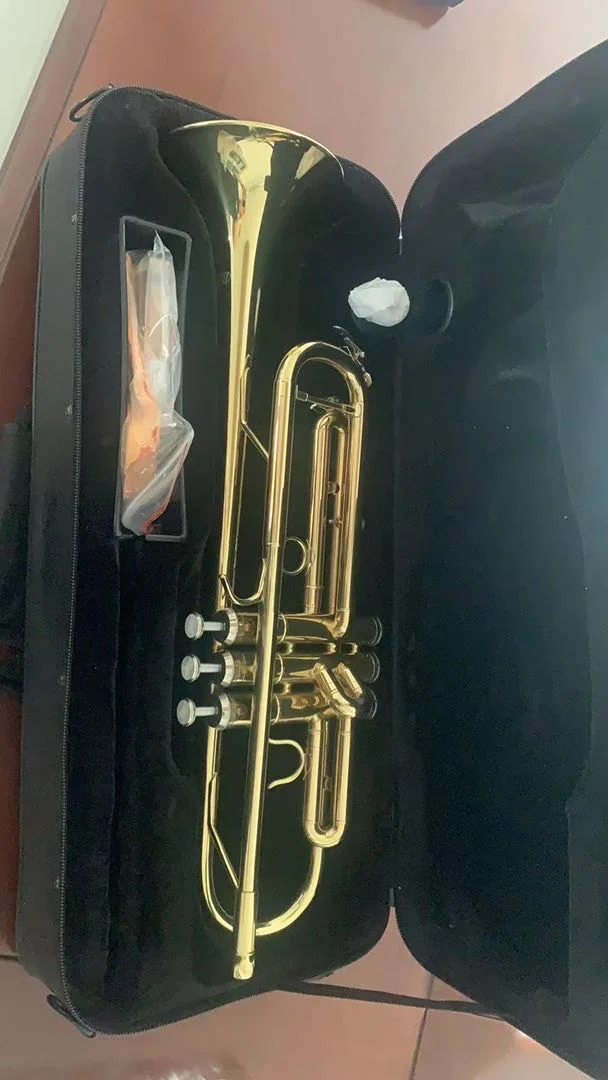 Popular Trumpet trumpet(HTL-671)