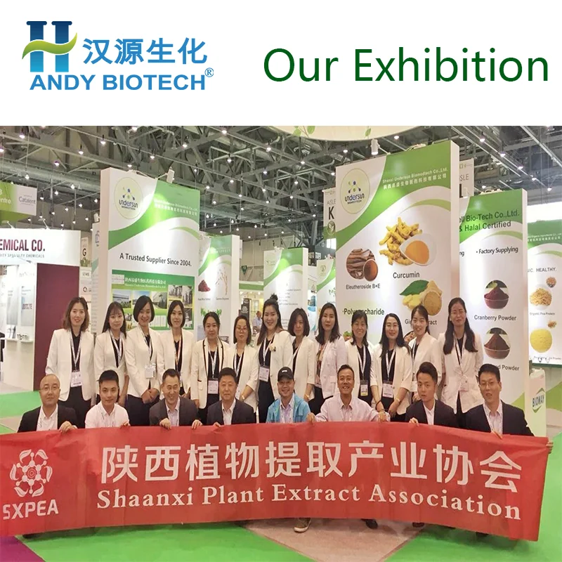 Top Quality Radix Aucklandiae Extract Costus Root Extract Powder