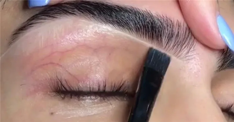 Liner Definer Brush Flat Top Head Makeup Vegan Eye Crease