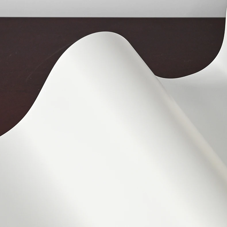 China Polyester matte surface protection film for paint protection