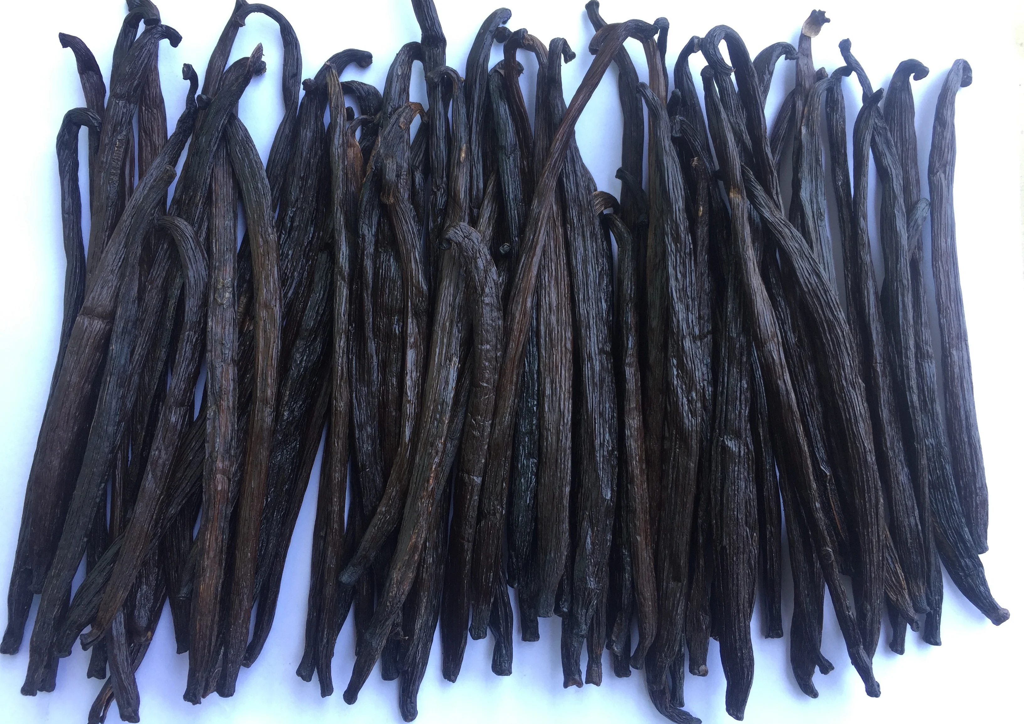 Роскошные Ванильные бобы Премиум-Качества, индонезийские хит продаж, Ванильные капсулы, разумная Лучшая цена, производитель TAHITENSIS GOURMET 18-19 см