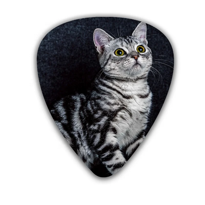 special design  0.71mm cute cat series acoustic Guitar Picks 6 designs for you chose