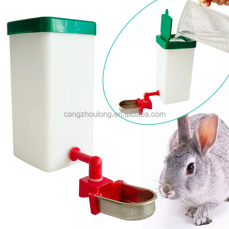 Wholesale Automatic No Waste 1L Stainless steel Rabbit Drinker Box With Water Cup