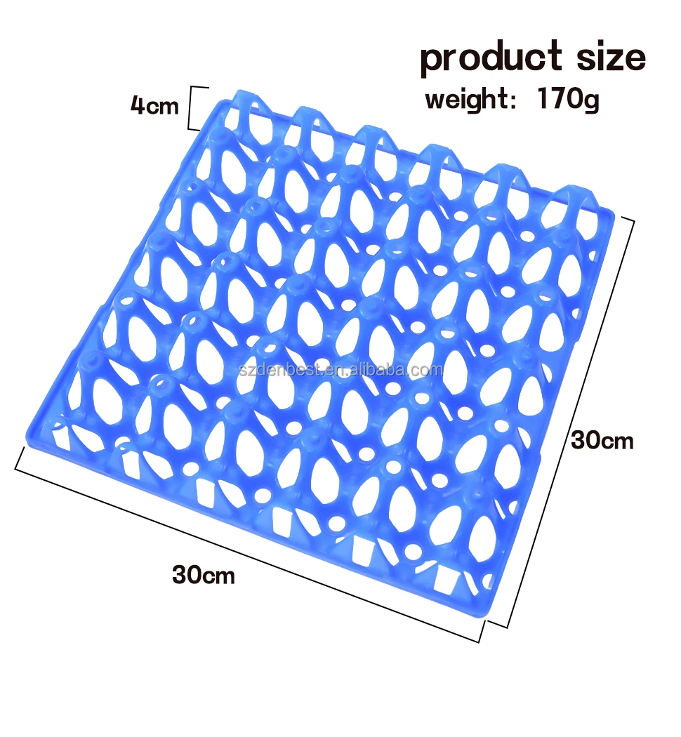 Egg tray-32.jpg