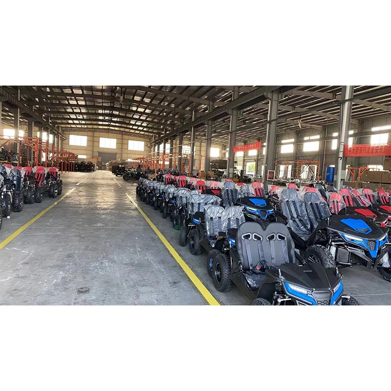 Kids racing buggy ,mini gasoline go karts  163cc