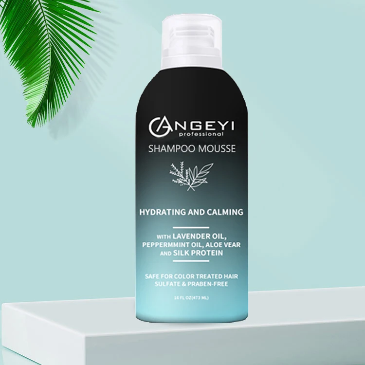 Protein Hydrating Anti-dandruff Nourish Hair Shampoo Champu Lavender Peppermint Aloe Vera Silk Unisex Adults 10 Years Daily Life