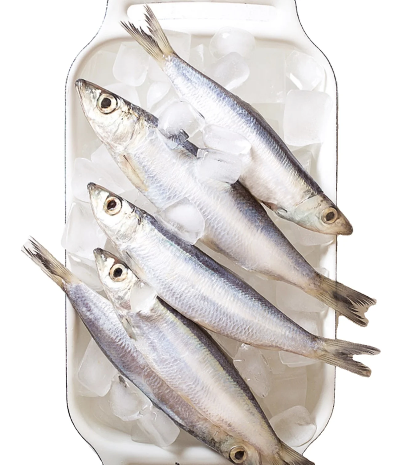 canned sardines in tomato sauce with OEM brand 125g lithographic tin